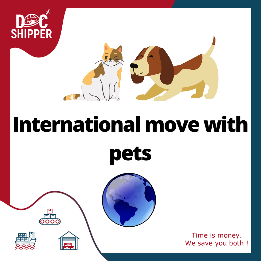 International move with pets
