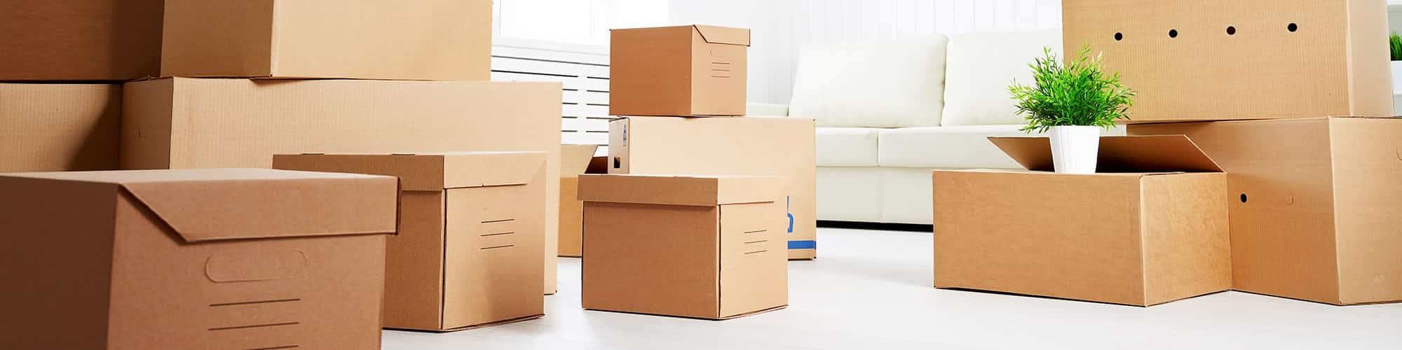 carton-boxes-international-move