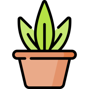 plant-pot