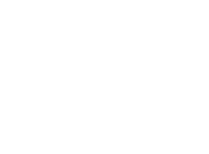 docshipper-logo-transparent-white