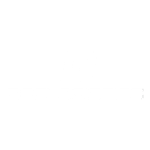 docshipper-beelogistics